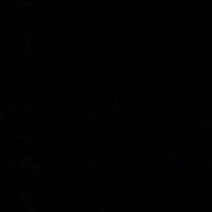 Meet your Posher, Ashly